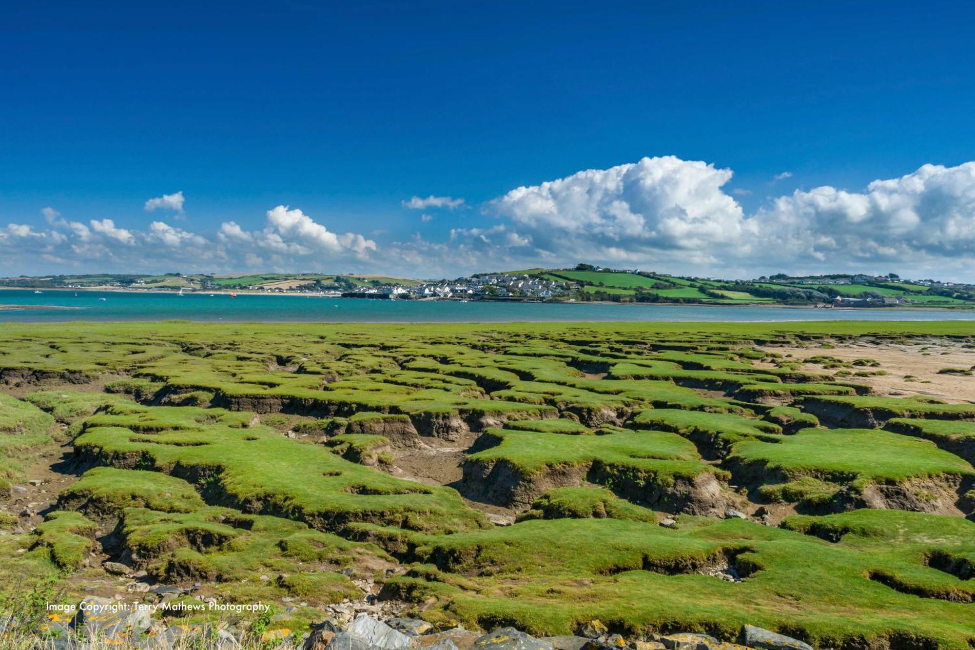 Catboat Cottage Appledore Εξωτερικό φωτογραφία